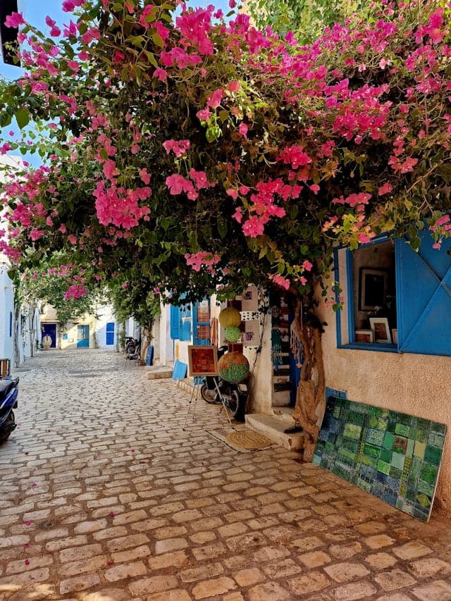 Djerba (VIP-пляжи)